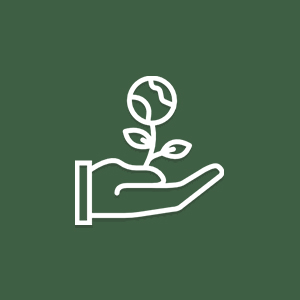 e-Medioambiente